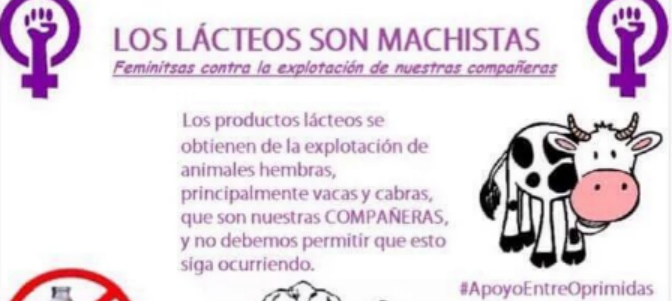 machismo_lacteos.png
